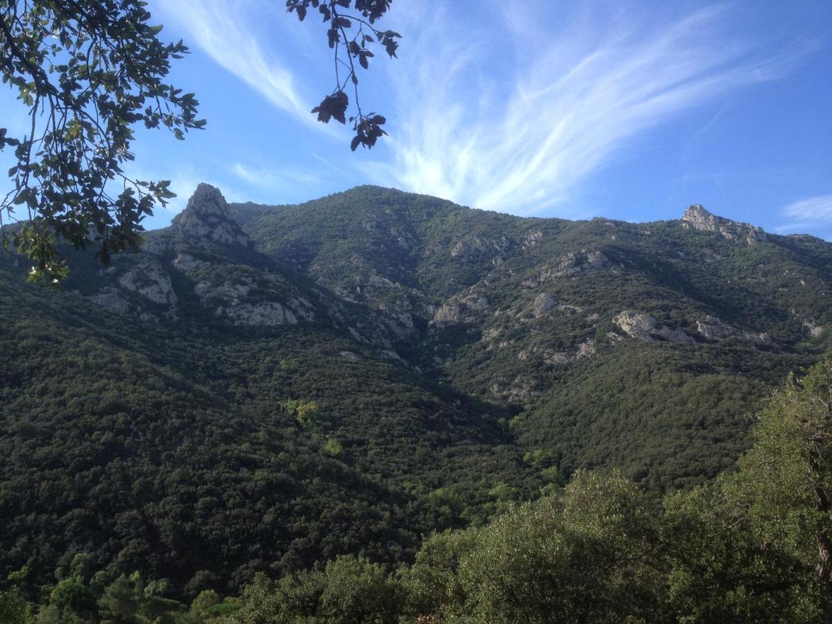 L'Abri La Vall Sorède Buitenkant foto