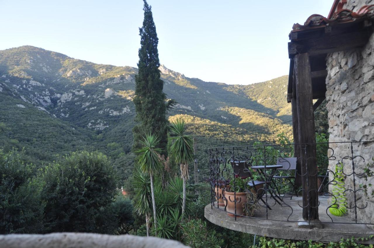 L'Abri La Vall Sorède Buitenkant foto