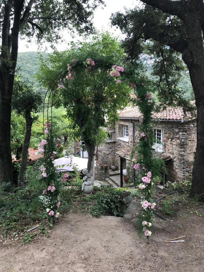 L'Abri La Vall Sorède Buitenkant foto