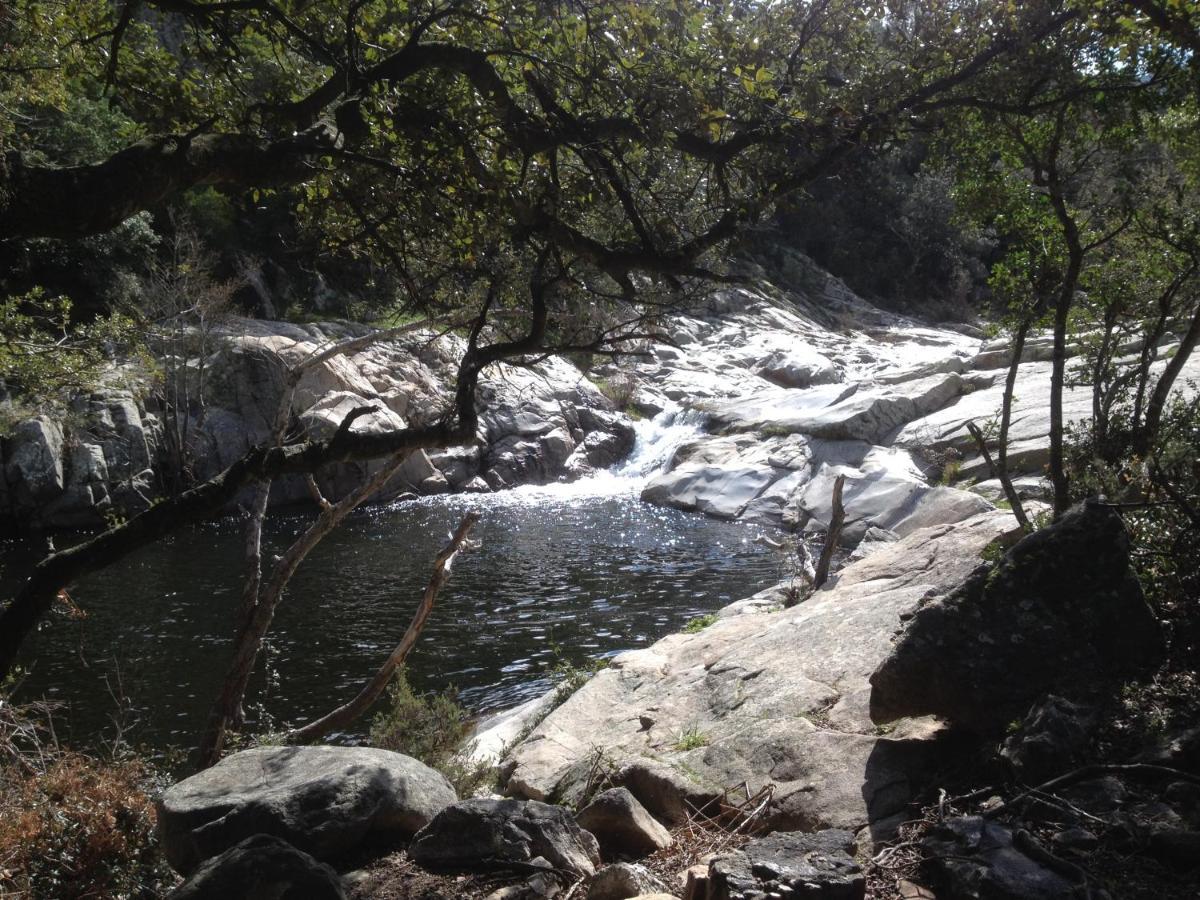 L'Abri La Vall Sorède Buitenkant foto