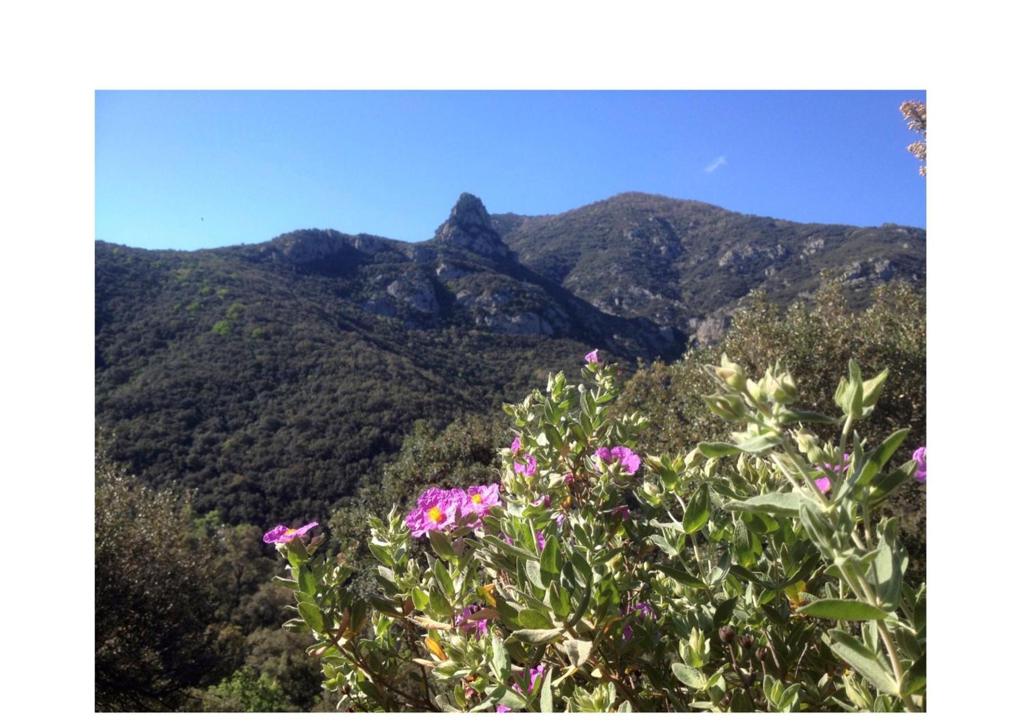 L'Abri La Vall Sorède Buitenkant foto